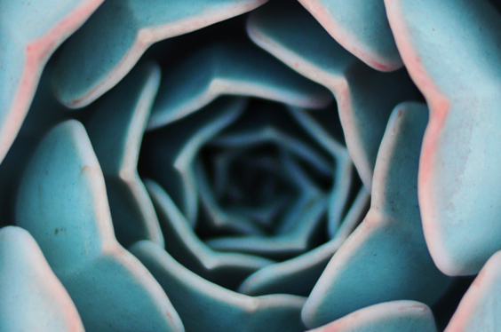 I'm a WordPress Genesis demo post 5